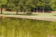 Mowing the Course