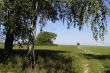field