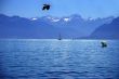 water scape, Switzerland