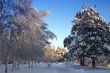 in winter