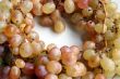 Grapes in the dish