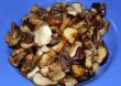 Roasted  mushrooms
