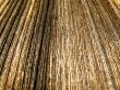 Wood texture