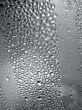 Drops of water