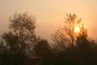 Foggy sunrise
