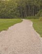 Gravel Path into Woods