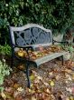 Old Garden Bench with Fallen Leaves