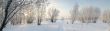 Panorama of freezing day.