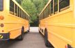 School Buses