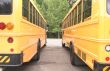 School Buses