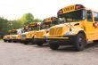 School Buses