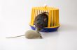 The mice trap