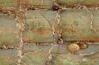 Abstract background #04