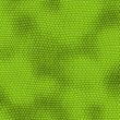 Iguana Skin