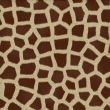 Giraffe Fur