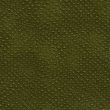 Crocodile Skin