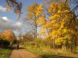 Autumn