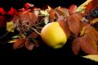 Autumn harvest