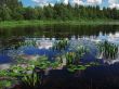 marsh edge lake