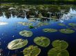 smooth water mirror