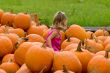 Pumpkins