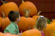 Pumpkins