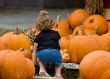 Pumpkins