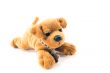 little dog