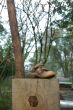 shoe on block