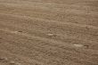 footstep in the sand