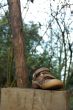 shoe on block