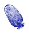 finger-print