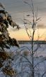 winter sunset