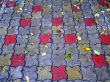 Sidewalk With Coloured Autumn Leafs
