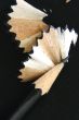 Pencil Shavings isolated in dark background