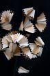 Pencil Shavings isolated in dark background