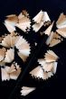 Pencil Shavings isolated in dark background