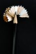 Pencil Shavings isolated in dark background