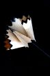 Pencil Shavings isolated in dark background