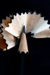 Pencil Shavings isolated in dark background