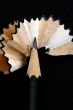 Pencil Shavings isolated in dark background