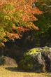 Autumn rocks corner