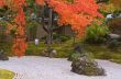 Autumn Japanese garden