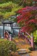 Japanese bridge