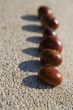 Chestnuts and shadows.....
