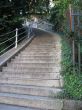 steps going up