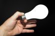 Light Bulb