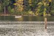 Fishing in Lake