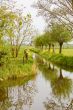 Kinderdijk