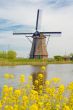 Kinderdijk
